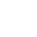 brake icon 01